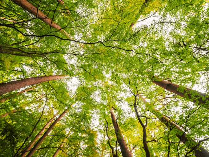 La Parenthèse Retraites Yoga Stages Yoga Cours Hatha Yoga Méditation Mindfulness Pleine conscience Bien-être Nantes Blain Proche Bretagne - Forêt du Gavre