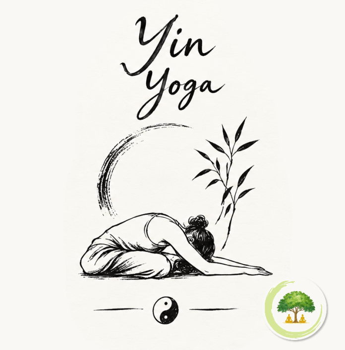 Yin Yoga - La Parenthèse Blain